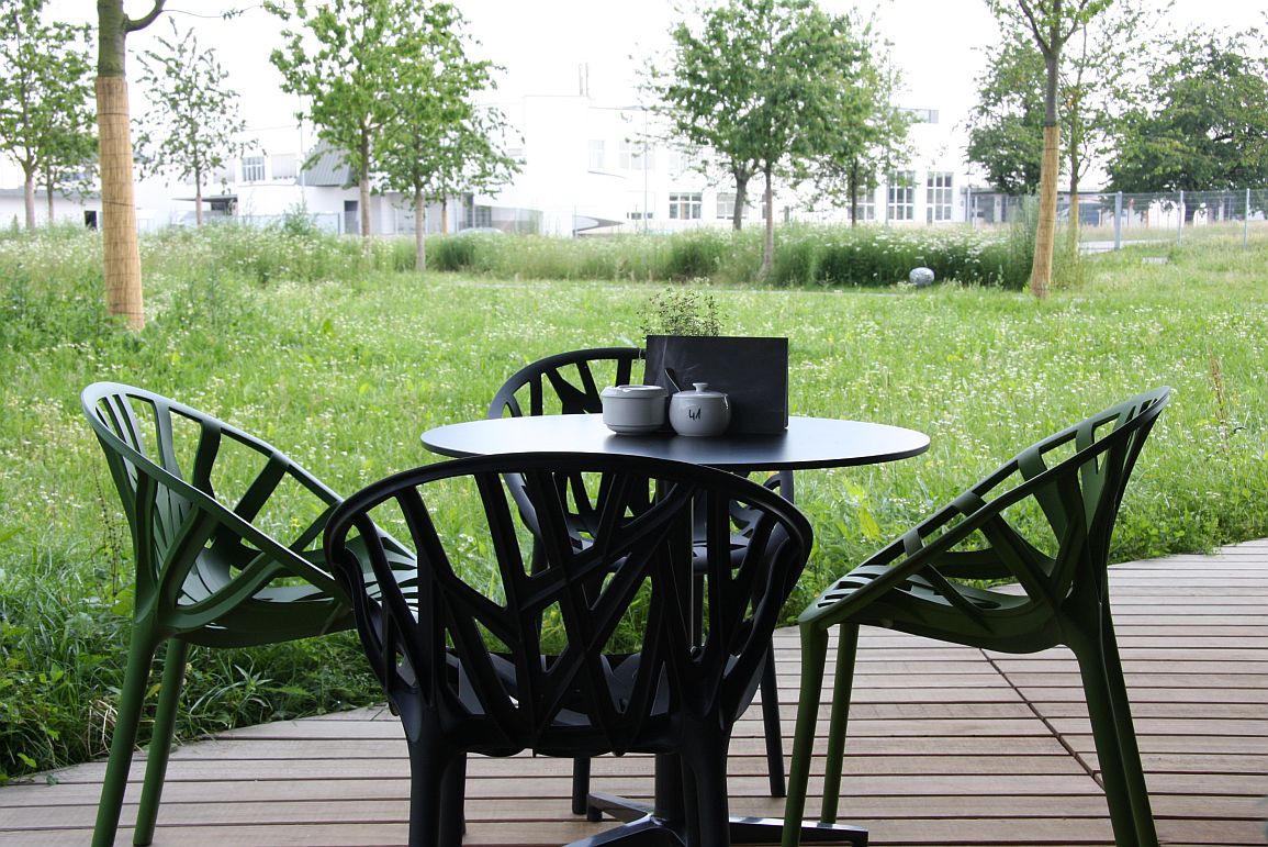 创意火狐官方网站 - 坐具|餐椅|办公火狐官方网站|火狐HUOHU（中国）火狐官方网站|植物餐椅